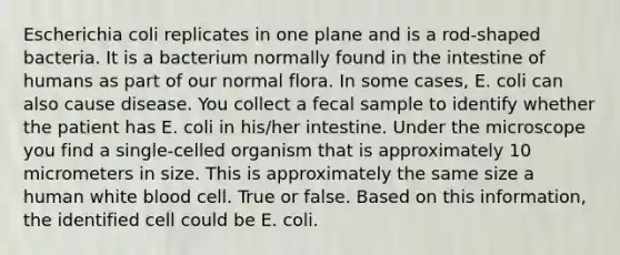 Escherichia coli replicates in one plane and is a rod-shaped bacteria. It is a bacterium normally found in the intestine of humans as part of our normal flora. In some cases, E. coli can also cause disease. You collect a fecal sample to identify whether the patient has E. coli in his/her intestine. Under the microscope you find a single-celled organism that is approximately 10 micrometers in size. This is approximately the same size a human white blood cell. True or false. Based on this information, the identified cell could be E. coli.