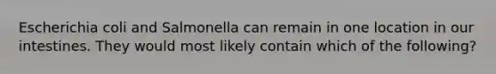 Escherichia coli and Salmonella can remain in one location in our intestines. They would most likely contain which of the following?