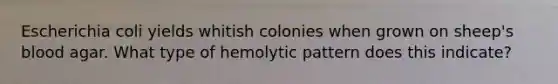 Escherichia coli yields whitish colonies when grown on sheep's blood agar. What type of hemolytic pattern does this indicate?