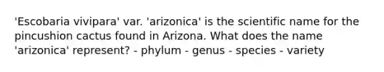 'Escobaria vivipara' var. 'arizonica' is the scientific name for the pincushion cactus found in Arizona. What does the name 'arizonica' represent? - phylum - genus - species - variety