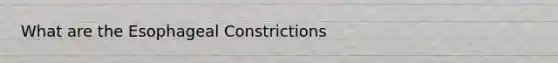 What are the Esophageal Constrictions