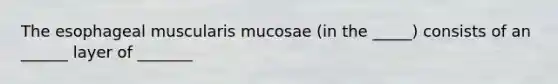 The esophageal muscularis mucosae (in the _____) consists of an ______ layer of _______