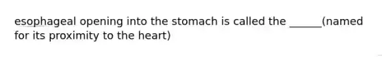 esophageal opening into <a href='https://www.questionai.com/knowledge/kLccSGjkt8-the-stomach' class='anchor-knowledge'>the stomach</a> is called the ______(named for its proximity to <a href='https://www.questionai.com/knowledge/kya8ocqc6o-the-heart' class='anchor-knowledge'>the heart</a>)