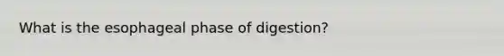 What is the esophageal phase of digestion?