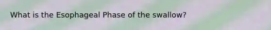 What is the Esophageal Phase of the swallow?