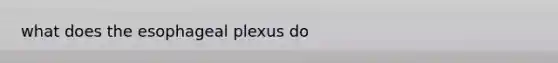 what does the esophageal plexus do