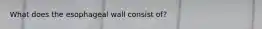 What does the esophageal wall consist of?