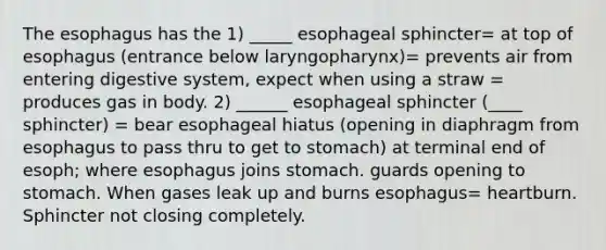 The esophagus has the 1) _____ esophageal sphincter= at top of esophagus (entrance below laryngopharynx)= prevents air from entering digestive system, expect when using a straw = produces gas in body. 2) ______ esophageal sphincter (____ sphincter) = bear esophageal hiatus (opening in diaphragm from esophagus to pass thru to get to stomach) at terminal end of esoph; where esophagus joins stomach. guards opening to stomach. When gases leak up and burns esophagus= heartburn. Sphincter not closing completely.