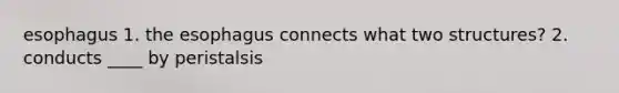 esophagus 1. the esophagus connects what two structures? 2. conducts ____ by peristalsis