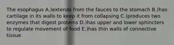 The esophagus A.)extends from the fauces to the stomach B.)has cartilage in its walls to keep it from collapsing C.)produces two enzymes that digest proteins D.)has upper and lower sphincters to regulate movement of food E.)has thin walls of connective tissue