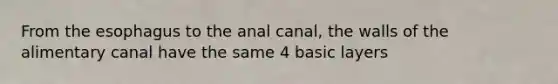 From <a href='https://www.questionai.com/knowledge/kSjVhaa9qF-the-esophagus' class='anchor-knowledge'>the esophagus</a> to the anal canal, the walls of the alimentary canal have the same 4 basic layers