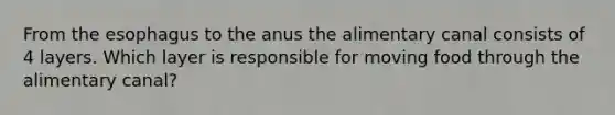 From <a href='https://www.questionai.com/knowledge/kSjVhaa9qF-the-esophagus' class='anchor-knowledge'>the esophagus</a> to the anus the alimentary canal consists of 4 layers. Which layer is responsible for moving food through the alimentary canal?