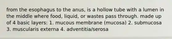 from the esophagus to the anus, is a hollow tube with a lumen in the middle where food, liquid, or wastes pass through. made up of 4 basic layers: 1. mucous membrane (mucosa) 2. submucosa 3. muscularis externa 4. adventitia/serosa