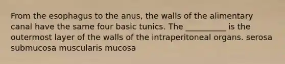 From the esophagus to the anus, the walls of the alimentary canal have the same four basic tunics. The __________ is the outermost layer of the walls of the intraperitoneal organs. serosa submucosa muscularis mucosa