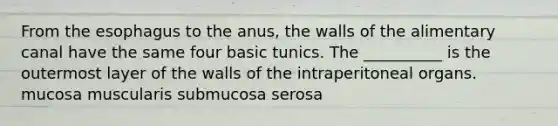 From the esophagus to the anus, the walls of the alimentary canal have the same four basic tunics. The __________ is the outermost layer of the walls of the intraperitoneal organs. mucosa muscularis submucosa serosa