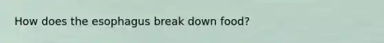 How does the esophagus break down food?
