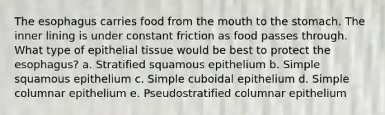 <a href='https://www.questionai.com/knowledge/kSjVhaa9qF-the-esophagus' class='anchor-knowledge'>the esophagus</a> carries food from <a href='https://www.questionai.com/knowledge/krBoWYDU6j-the-mouth' class='anchor-knowledge'>the mouth</a> to the stomach. The inner lining is under constant friction as food passes through. What type of <a href='https://www.questionai.com/knowledge/k7dms5lrVY-epithelial-tissue' class='anchor-knowledge'>epithelial tissue</a> would be best to protect the esophagus? a. Stratified squamous epithelium b. Simple squamous epithelium c. Simple cuboidal epithelium d. Simple columnar epithelium e. Pseudostratified columnar epithelium