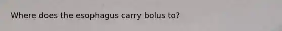 Where does the esophagus carry bolus to?