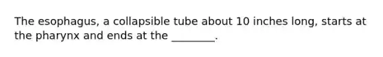 The esophagus, a collapsible tube about 10 inches long, starts at the pharynx and ends at the ________.