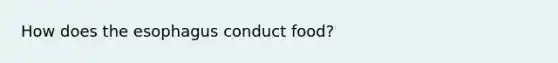 How does the esophagus conduct food?