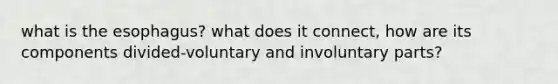 what is the esophagus? what does it connect, how are its components divided-voluntary and involuntary parts?