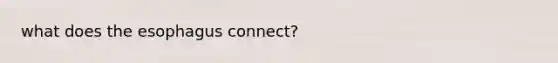 what does the esophagus connect?