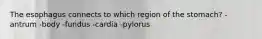 The esophagus connects to which region of the stomach? -antrum -body -fundus -cardia -pylorus