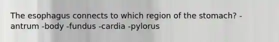 The esophagus connects to which region of the stomach? -antrum -body -fundus -cardia -pylorus