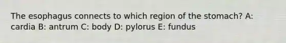 <a href='https://www.questionai.com/knowledge/kSjVhaa9qF-the-esophagus' class='anchor-knowledge'>the esophagus</a> connects to which region of <a href='https://www.questionai.com/knowledge/kLccSGjkt8-the-stomach' class='anchor-knowledge'>the stomach</a>? A: cardia B: antrum C: body D: pylorus E: fundus