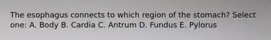 The esophagus connects to which region of the stomach? Select one: A. Body B. Cardia C. Antrum D. Fundus E. Pylorus