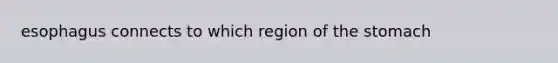 esophagus connects to which region of the stomach
