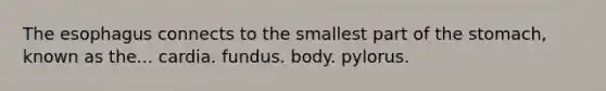 The esophagus connects to the smallest part of the stomach, known as the... cardia. fundus. body. pylorus.