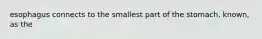 esophagus connects to the smallest part of the stomach, known, as the