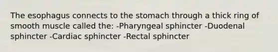 The esophagus connects to the stomach through a thick ring of smooth muscle called the: -Pharyngeal sphincter -Duodenal sphincter -Cardiac sphincter -Rectal sphincter