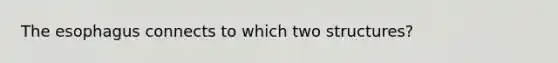 The esophagus connects to which two structures?