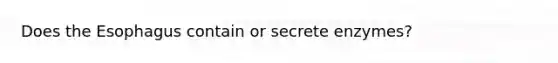 Does the Esophagus contain or secrete enzymes?