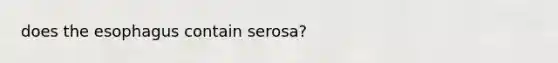 does the esophagus contain serosa?