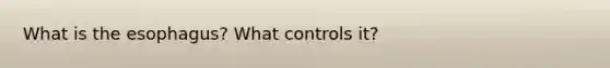 What is the esophagus? What controls it?