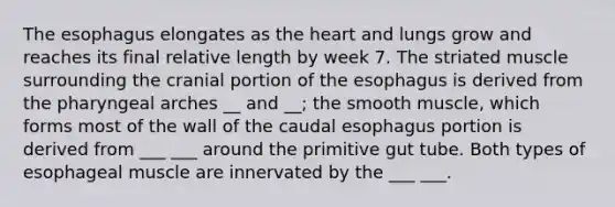 The esophagus elongates as the heart and lungs grow and reaches its final relative length by week 7. The striated muscle surrounding the cranial portion of the esophagus is derived from the pharyngeal arches __ and __; the smooth muscle, which forms most of the wall of the caudal esophagus portion is derived from ___ ___ around the primitive gut tube. Both types of esophageal muscle are innervated by the ___ ___.