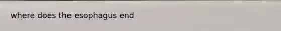 where does <a href='https://www.questionai.com/knowledge/kSjVhaa9qF-the-esophagus' class='anchor-knowledge'>the esophagus</a> end