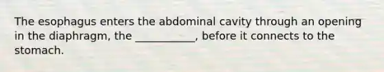 The esophagus enters the abdominal cavity through an opening in the diaphragm, the ___________, before it connects to the stomach.