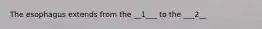 The esophagus extends from the __1___ to the ___2__