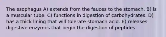 The esophagus A) extends from the fauces to the stomach. B) is a muscular tube. C) functions in digestion of carbohydrates. D) has a thick lining that will tolerate stomach acid. E) releases digestive enzymes that begin the digestion of peptides.