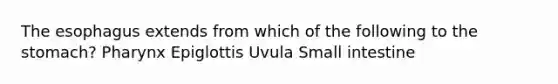 The esophagus extends from which of the following to the stomach? Pharynx Epiglottis Uvula Small intestine