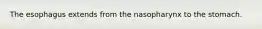 The esophagus extends from the nasopharynx to the stomach.