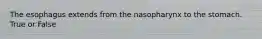 The esophagus extends from the nasopharynx to the stomach. True or False