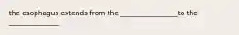 the esophagus extends from the _________________to the _______________