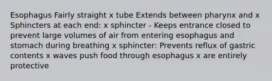 Esophagus Fairly straight x tube Extends between pharynx and x Sphincters at each end: x sphincter - Keeps entrance closed to prevent large volumes of air from entering esophagus and stomach during breathing x sphincter: Prevents reflux of gastric contents x waves push food through esophagus x are entirely protective