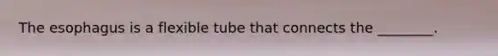 The esophagus is a flexible tube that connects the ________.