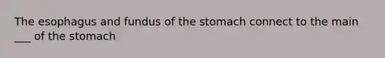 <a href='https://www.questionai.com/knowledge/kSjVhaa9qF-the-esophagus' class='anchor-knowledge'>the esophagus</a> and fundus of <a href='https://www.questionai.com/knowledge/kLccSGjkt8-the-stomach' class='anchor-knowledge'>the stomach</a> connect to the main ___ of the stomach